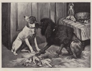 Das Gewissen macht uns alle zu Feiglingen von Fannie Moody
